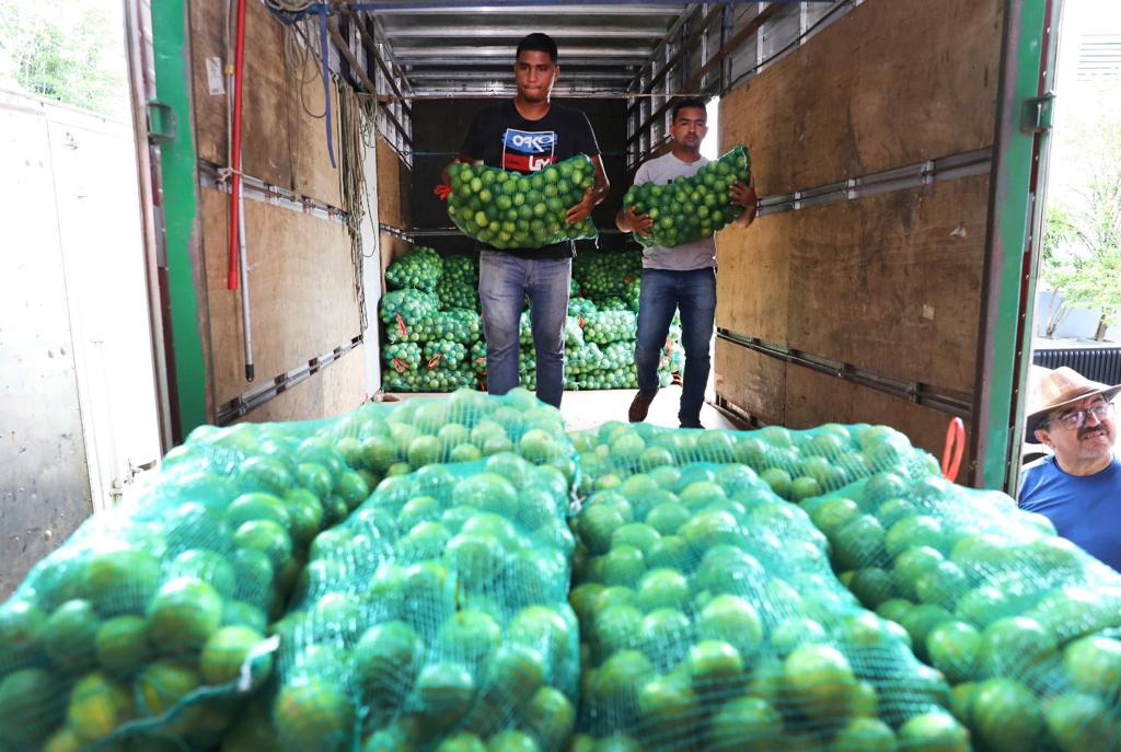 Governo do Amazonas ultrapassa metas do Programa Nacional de Alimentação Escolar e fortalece a agricultura familiar 3 Educacao Agricultura Familiar Arquivo ADS e Secom 5