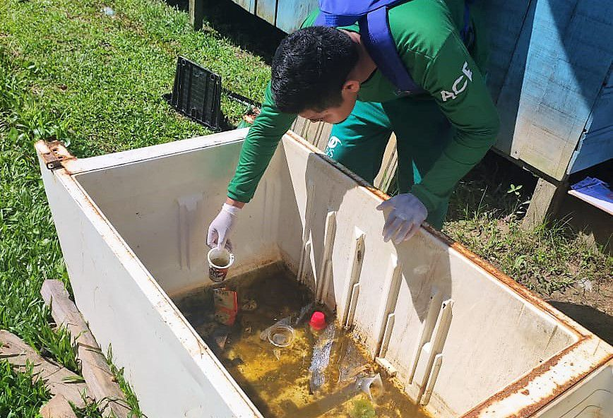 Dengue: Amazonas apresenta médio risco para circulação de Aedes aegypti, aponta 4º levantamento de índice do mosquito 2 FVS RCP LIRAa dengue FOTO Divulgacao FVS RCP