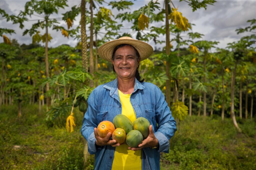 Governo do Amazonas investiu R$ 78 milhões na aquisição de alimentos da agricultura familiar em 2023 3 Governo do Amazonas investiu R 78 milhoes na aquisicao de alimentos da agricultura familiar em 2023 Foto Arquivo Secom 3 1024x682 1
