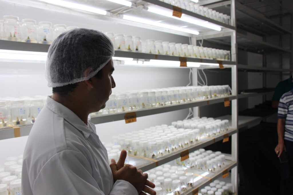 Técnicos e produtores rurais: Idam contabiliza mais 17 mil capacitações em 2023 3 Idam Capacitacoes em 2023 Fotos Arquivo Idam 4 1024x682 1