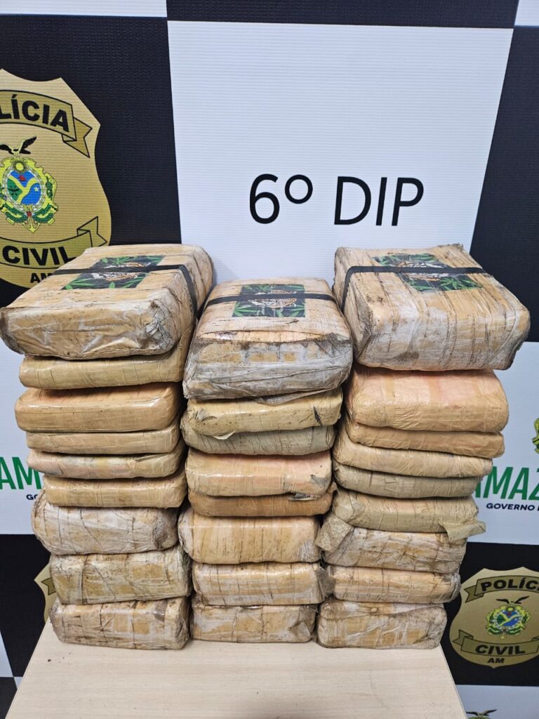 Polícia Civil do Amazonas prende dupla e apreende 26 tabletes de maconha tipo skunk 2 PCAM DROGA APREENDIDA FOTO DIVULGACAO 1 768x1024 1