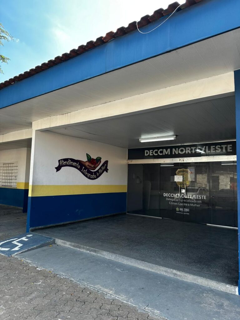 Violência doméstica: Homem é preso por lesão corporal dolosa, injúria e ameaça contra a ex-companheira 2 PCAM FACHADA DECCM NORTE LESTE FOTO DIVULGACAO 2 768x1024 1