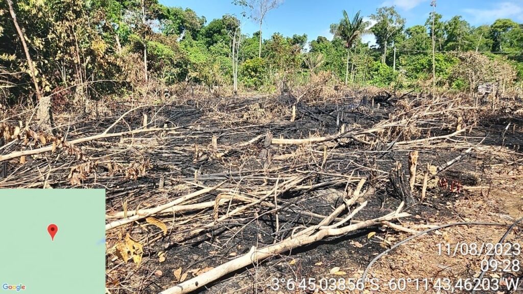 Crimes contra o meio ambiente: PC-AM apresenta balanço das operações realizada no segundo semestre de 2023 2 PCAM OPERACAO CURUPIRA DEMA FOTO DIVULGACAO 4 1024x576 1