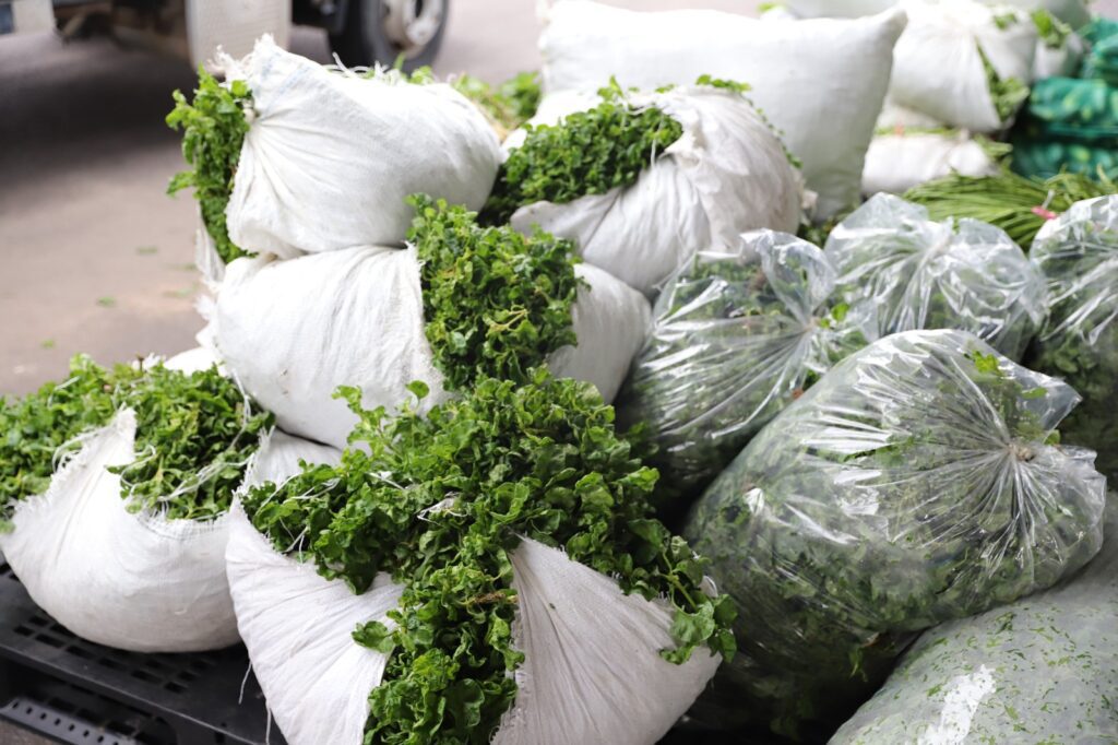 Em Manaus, Sepror realiza primeira entrega de 2024 do Programa de Aquisição de Alimentos 3 Sepror Primeira Entrega de Alimentos do PAA 5 1024x682 1