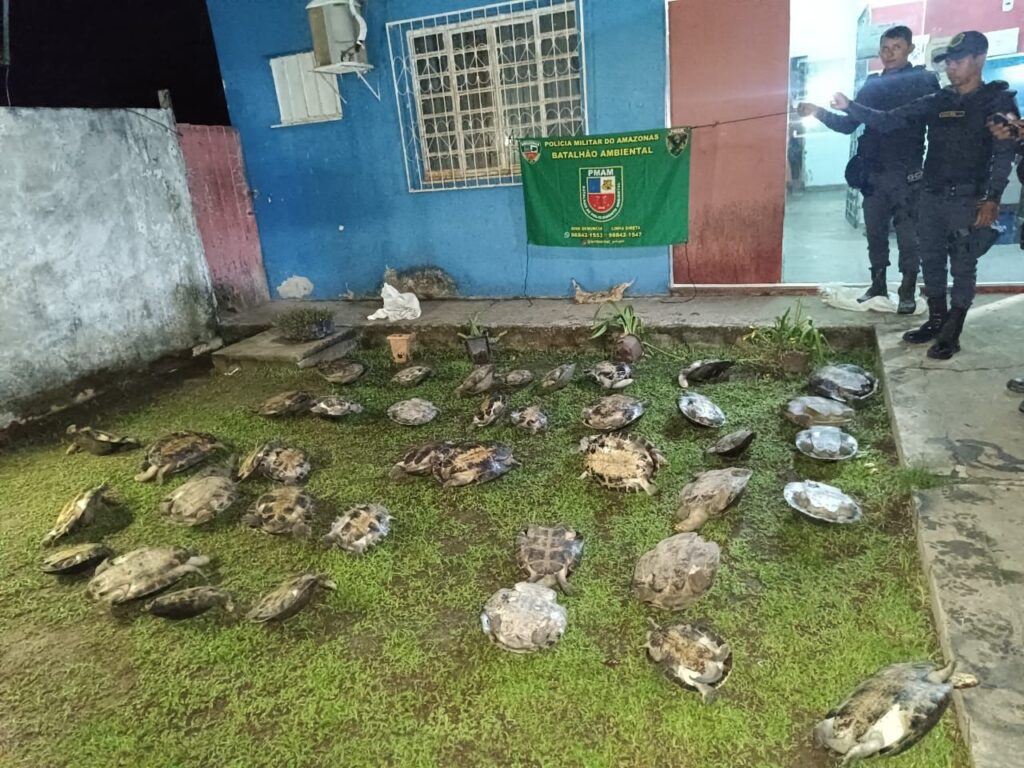 Base Tiradentes: PMAM apreende drogas e quelônios em abordagens a embarcações em Jutaí 2 WhatsApp Image 2024 01 24 at 12.10.32 1024x768 1
