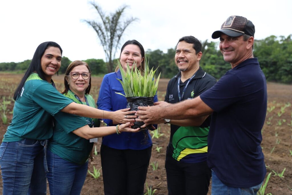 Governo do Amazonas inicia plantio do curauá para dar suporte à indústria 2 WhatsApp Image 2024 01 25 at 12.38.43 1024x683 1