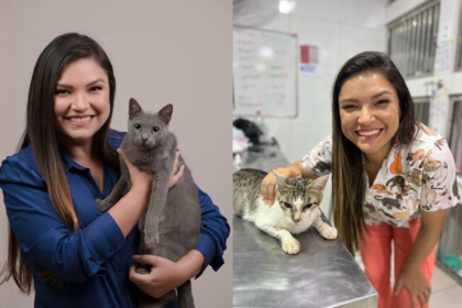 No Dia Mundial do Gato, deputada Joana Darc destaca a importância da castração aos felinos para prevenir zoonoses