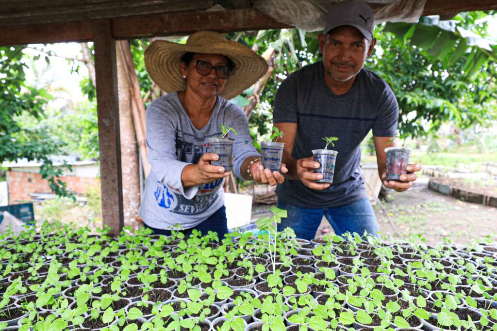 Cosama promove ações de sustentabilidade no Amazonas com doação de copos plásticos para reutilização no plantio de mudas 4 Foto Roberto Carlos 3 1024x683 1
