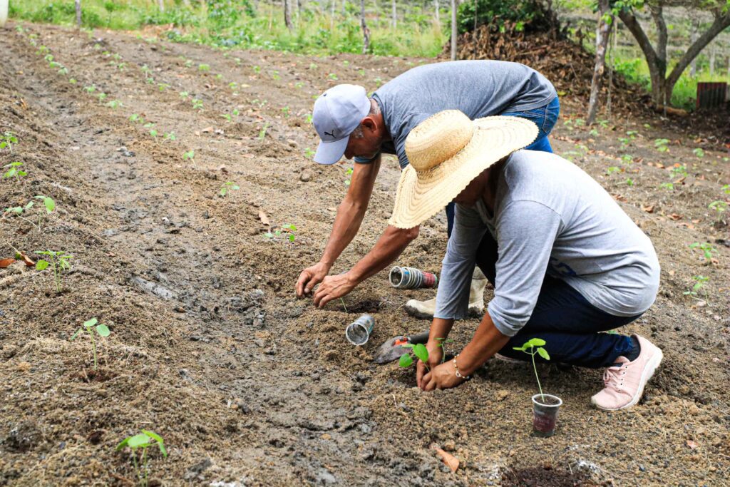 Cosama promove ações de sustentabilidade no Amazonas com doação de copos plásticos para reutilização no plantio de mudas 2 Foto Roberto Carlos 5 1024x683 1