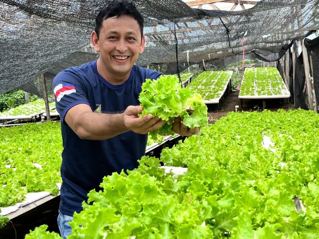 Idam reforça benefícios da hidroponia para a horticultura amazonense 2 Idam 1 Culturas no sistema de Hidroponia 1024x768 1