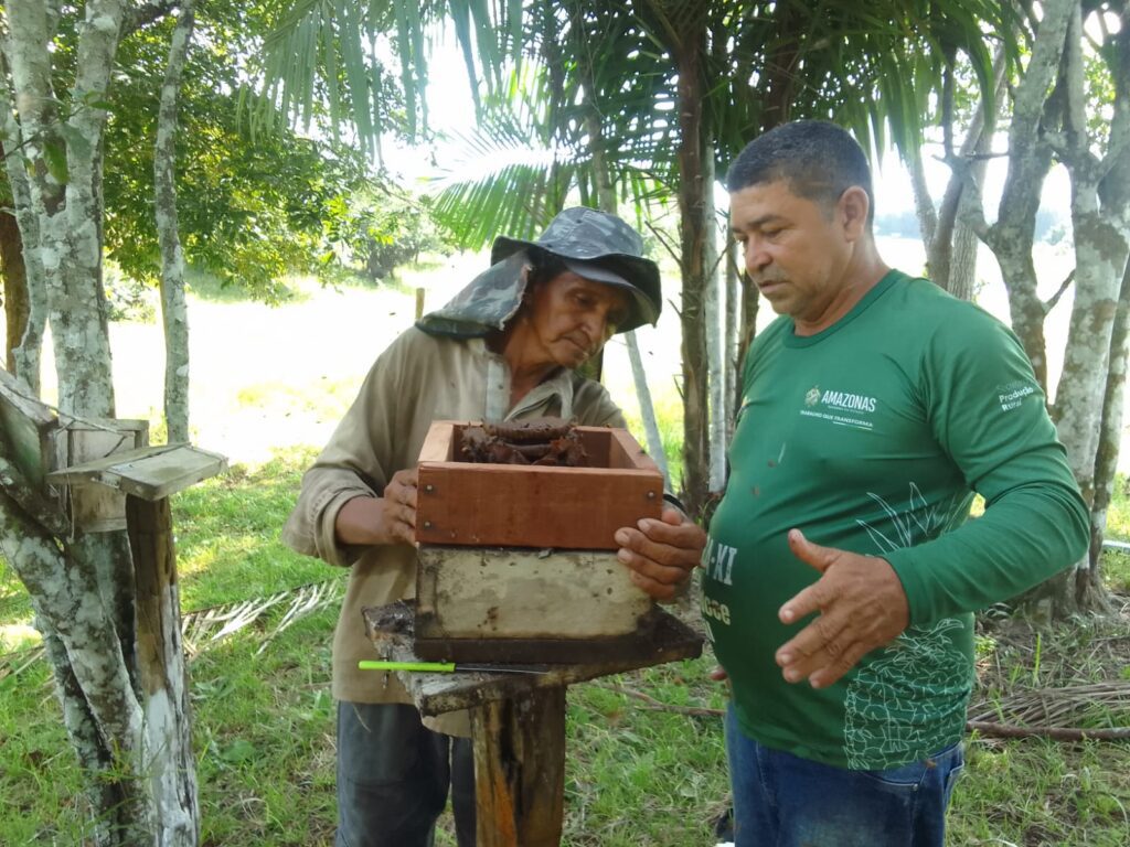 Idam oferece assistência técnica, capacitação e entrega de documentos aos meliponicultores de Silves 2 Idam Acoes de meliponicultura em Silves Fotos Divulgacao 1 1024x768 1