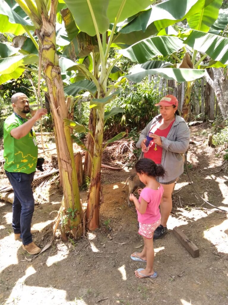 Idam leva assistência técnica a 90 famílias de produtores rurais da Vila de Balbina 3 Idam Acoes no PDS Morena em Balbina Fotos Divulgacao 2 768x1024 1