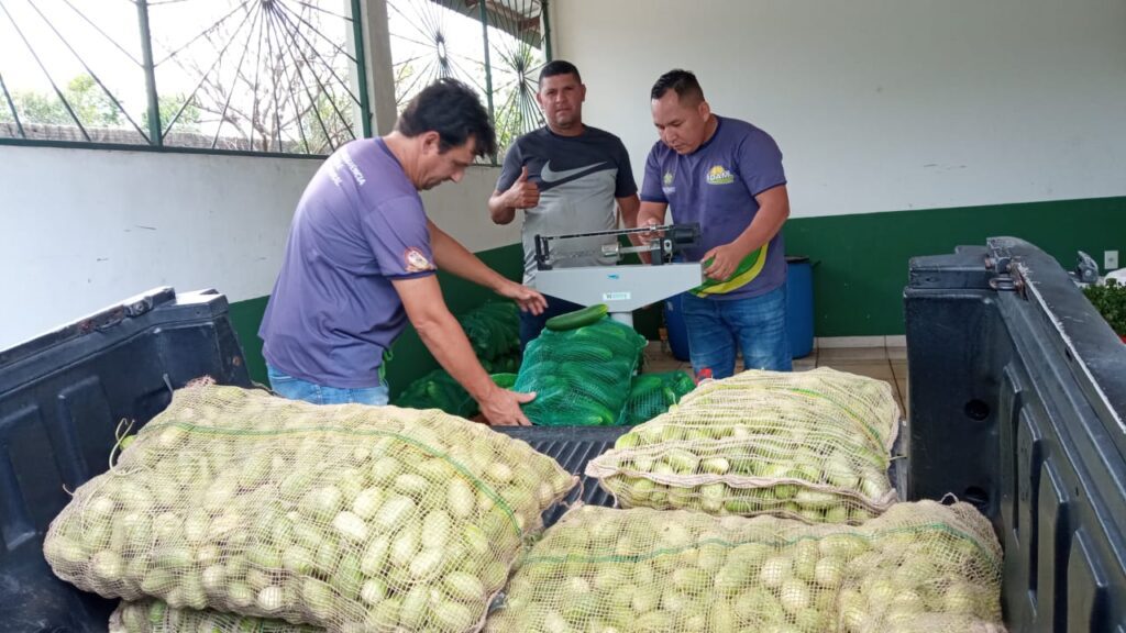 Em Novo Airão, Idam atua na logística de escoamento de 4,7 toneladas de alimentos adquiridas por meio do PAA 4 Idam PAA em Novo Airao Fotos Divulgacao 2 1024x576 1