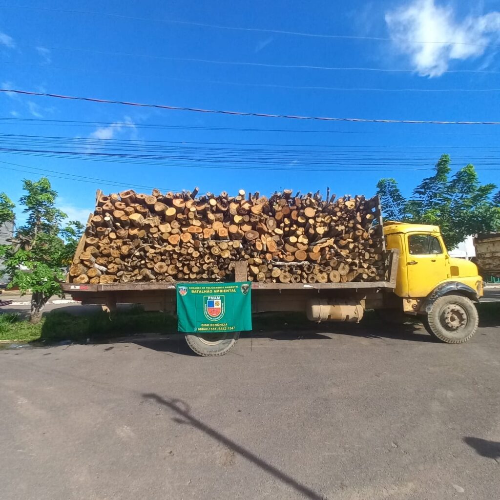 Madeira ilegal é apreendida pelo Batalhão Ambiental da Polícia Militar do Amazonas 2 PMAM BPAMB APREENDE CAMINHAO COM LENHA ILEGAL NA AM 070 FOTO DIVULGACAO PMAM 1024x1024 1