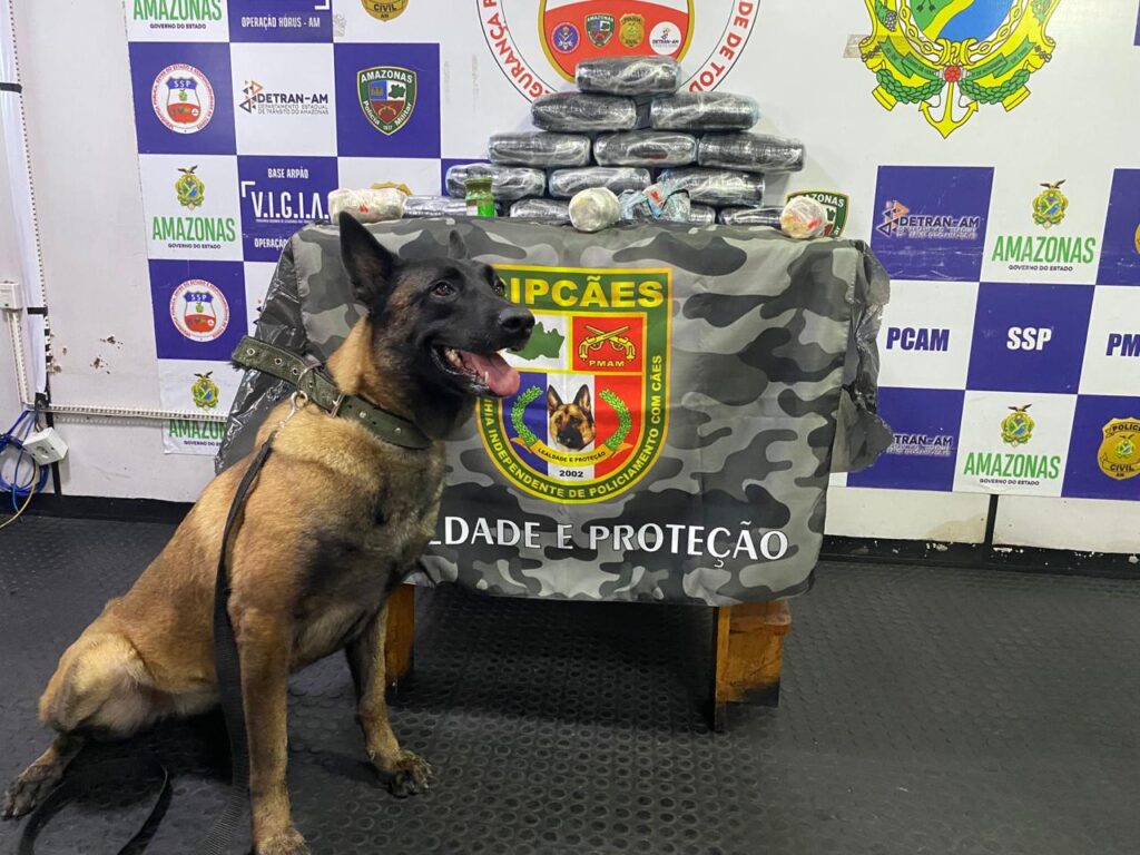 Base Arpão 1: Mulher é presa com droga avaliada em R$ 750 mil 2 SSP AM DROGAS MALA FOTOS DIVULGACAO SSP AM 1024x768 1
