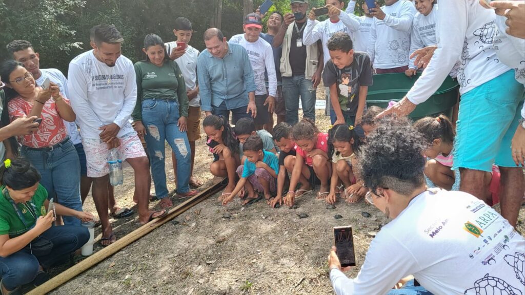 Em sua primeira soltura, RDS Juma devolve 604 filhotes de quelônios à natureza 3 Sema SOLTURA DE QUELONIOS JUMA 1 1024x576 1