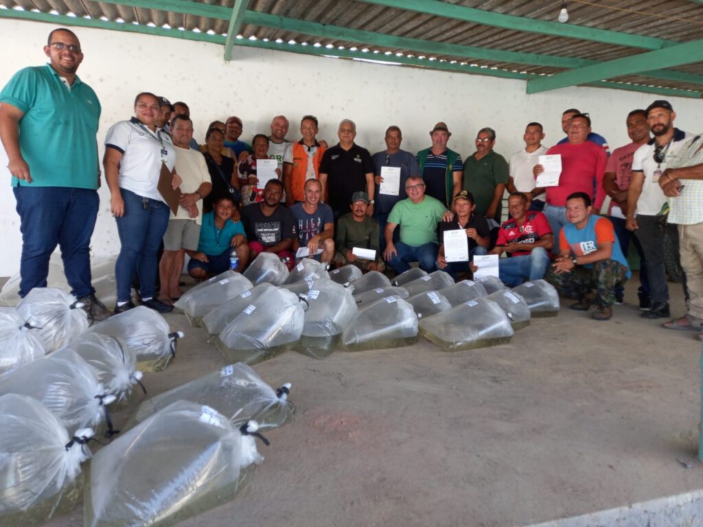 Sepror entrega 90 mil alevinos em Rio Preto da Eva e chega a 379 mil alevinos entregues em todo o estado 2 Sepror Alevino foto Divulgacao 1 1024x768 1