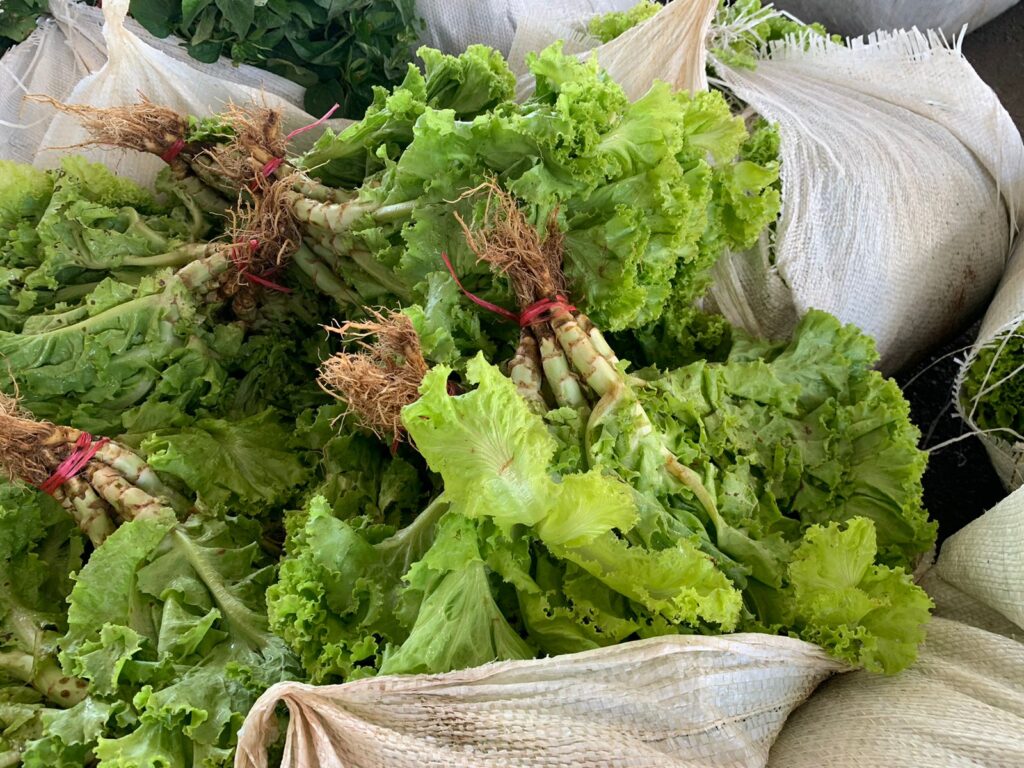 Sepror entrega cerca de 40 mil quilos de alimentos para entidades socioassistenciais de Manaus 2 Sepror Entrega PAA Manaus 1 1024x768 1