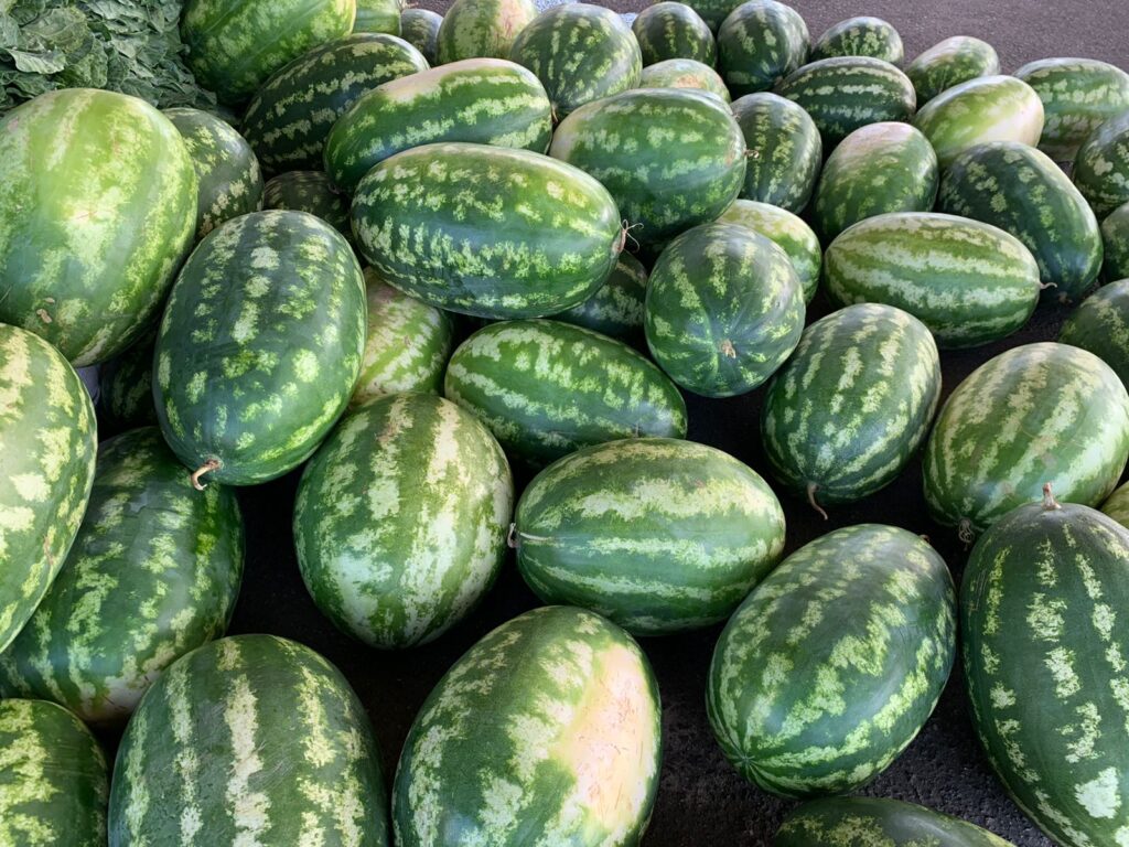 Sepror entrega cerca de 40 mil quilos de alimentos para entidades socioassistenciais de Manaus 3 Sepror Entrega PAA Manaus 2 1024x768 1