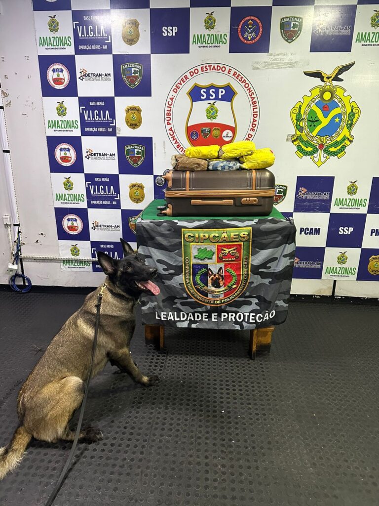 Durante o final de semana, ações da Operação Fronteira Mais Segura geraram mais de R$320 mil em prejuízo ao crime 2 ACOES OPERACAO FRONTEIRA MAIS SEGURA FOTOS DIVULGACAO SSP 2 768x1024 1