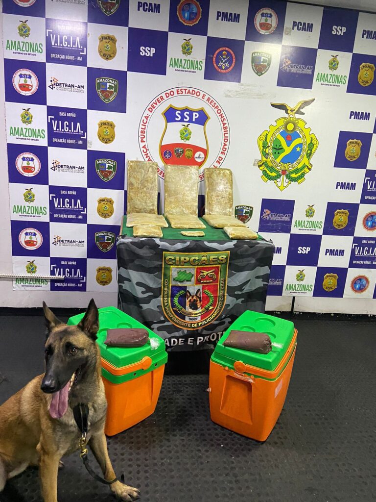 Durante o final de semana, ações da Operação Fronteira Mais Segura geraram mais de R$320 mil em prejuízo ao crime 5 ACOES OPERACAO FRONTEIRA MAIS SEGURA FOTOS DIVULGACAO SSP 3 768x1024 1