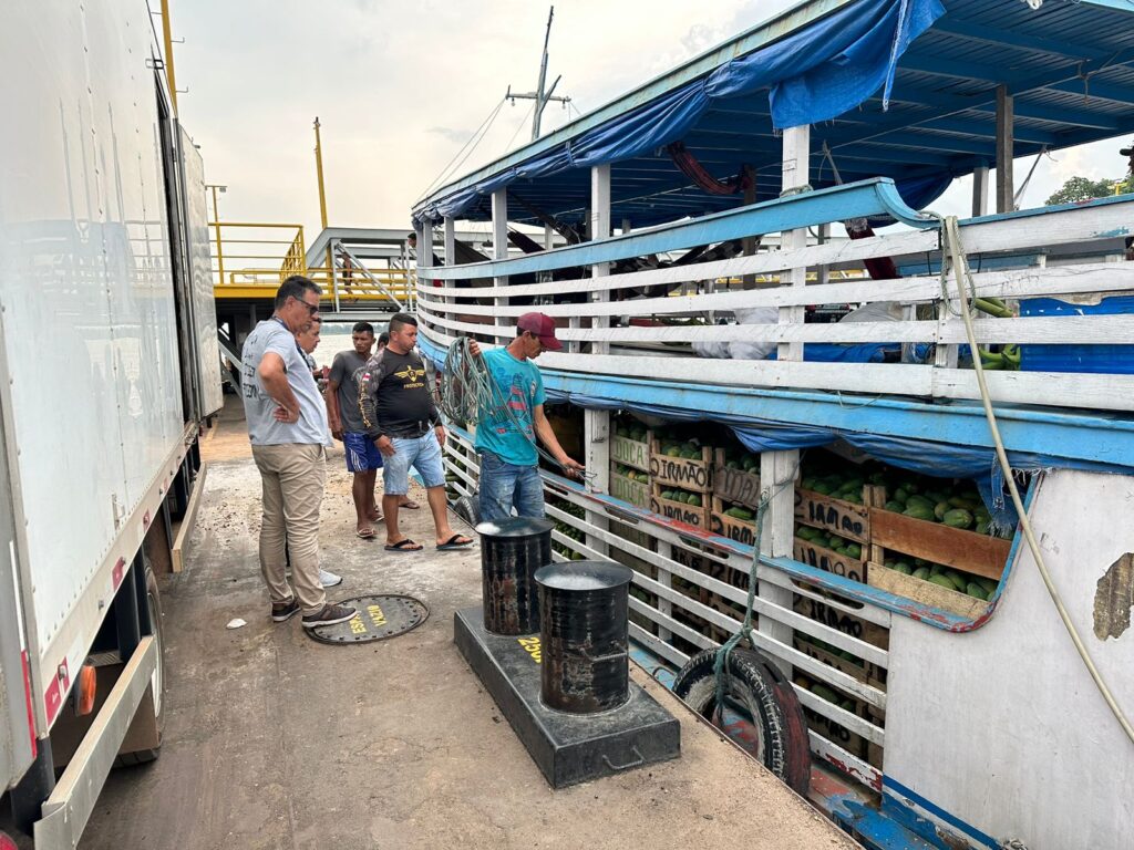 Balcão de Agronegócios auxilia no escoamento de mais de três toneladas de mamão 2 ADS Balcao de Agronegocios intermedeia mais de tres toneladas de mamao Foto Divulgacao ADS 1024x768 1