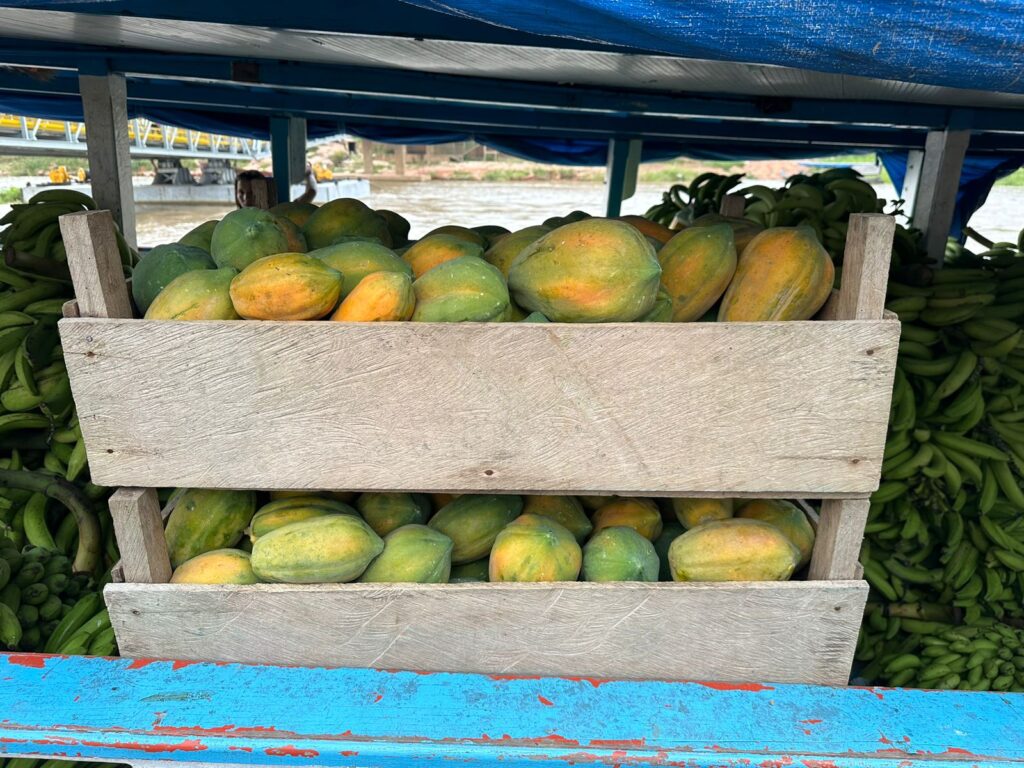 Balcão de Agronegócios auxilia no escoamento de mais de três toneladas de mamão 3 ADS Balcao de Agronegocios intermedeia mais de tres toneladas de mamao Foto Divulgacao ADS 2 1024x768 1