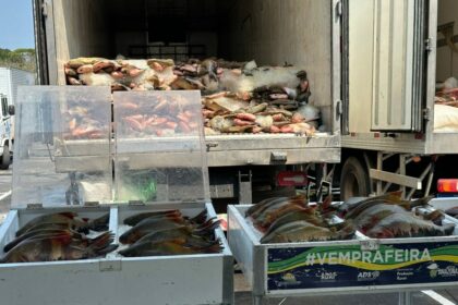 ADS Com investimento de R 55 milhoes Governo do Amazonas realiza doacao de 369 toneladas de pescado em acao solidaria na Semana Santa Foto por Divulgacao ADS 3 1024x768 1