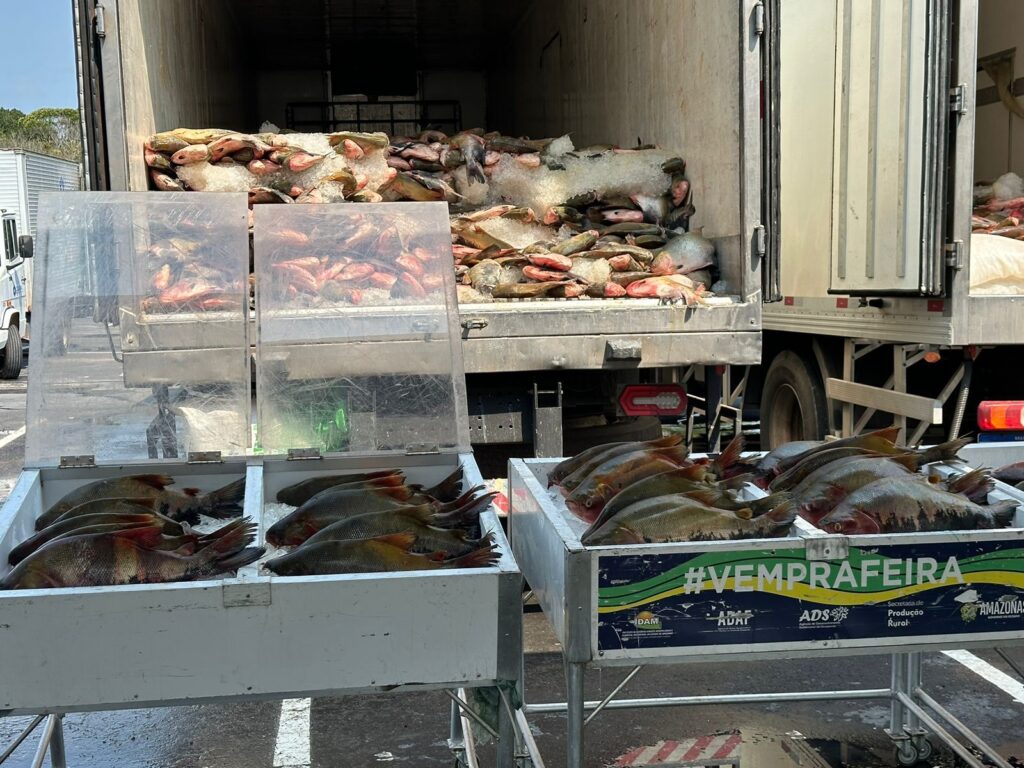 Com investimento de R$ 5,5 milhões, Governo do Amazonas realiza doação de 369 toneladas de pescado em ação solidária 2 ADS Com investimento de R 55 milhoes Governo do Amazonas realiza doacao de 369 toneladas de pescado em acao solidaria na Semana Santa Foto por Divulgacao ADS 3 1024x768 1