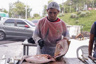 Primeiro dia do Feirão do Pescado comercializa 27 toneladas e movimenta mais de R$ 578 mil 4 ADS Primeiro dia do Feirao do Pescado comercializa 27 toneladas e movimenta mais de R 578 mil Fotos Arthur Castro Secom 3