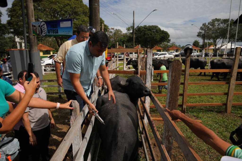Governo Federal atende pleito de Wilson Lima e confirma Amazonas como livre de febre aftosa sem vacinação 4 Amazonas livre de aftosa 1024x682 1