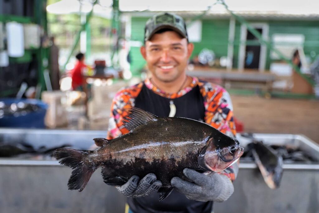Sepror acompanha a despesca de aproximadamente 60 toneladas de peixes a serem destinados para a ADS em Itacoatiara 6 Despesca Itacoatiara Emerson Martins Sepror 4 1024x683 1