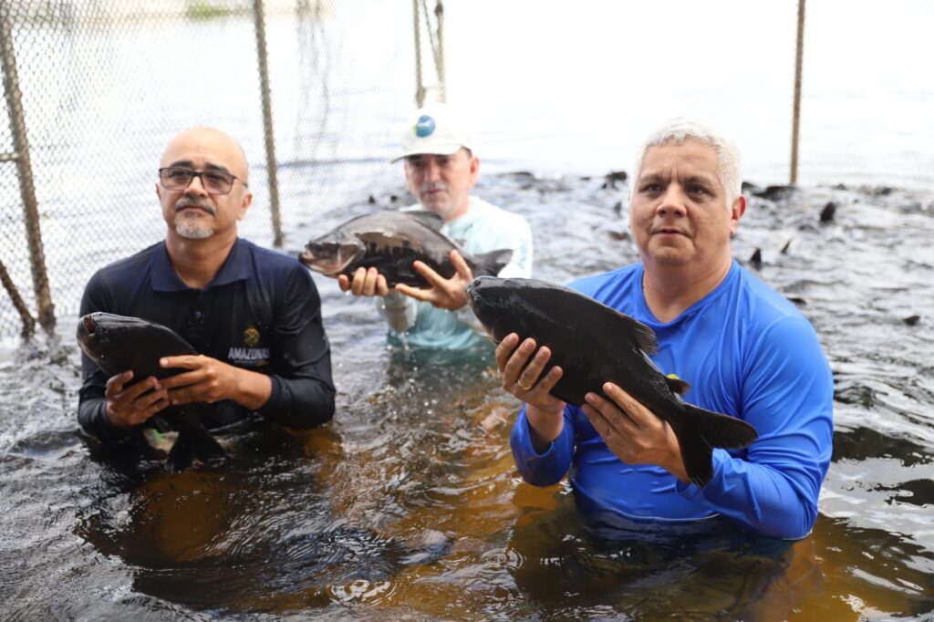 Sepror acompanha a despesca de aproximadamente 60 toneladas de peixes a serem destinados para a ADS em Itacoatiara 4 Despesca Itacoatiara Emerson Martins Sepror 5 1024x682 1