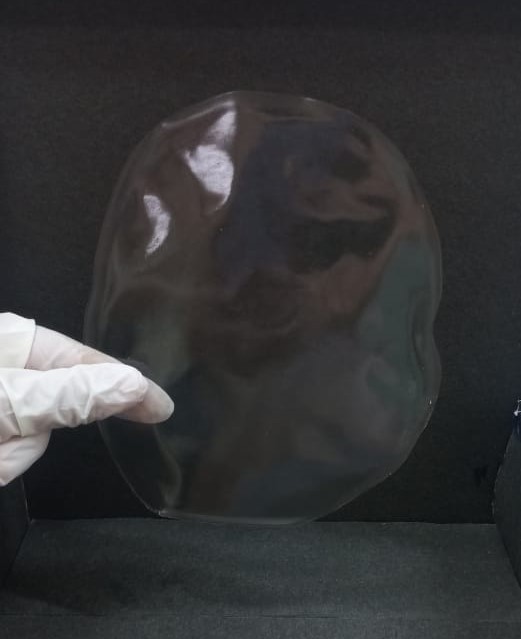Fapeam Pesquisa aponta principio ativo oriundo da floresta como alternativa para producao de filmes de hidrogel para aplicacao em doencas de pele Fotos Cristina Gomes 1