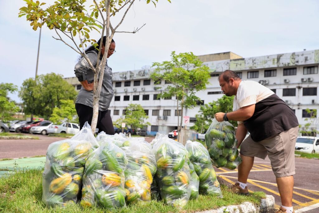 Em Manaus, Governo do Amazonas entrega mais de 35,6 toneladas de alimentos a instituições socioassistenciais 4 Foto Emerson Martins Sepror Entrega PAA em Manaus 01 1024x683 1