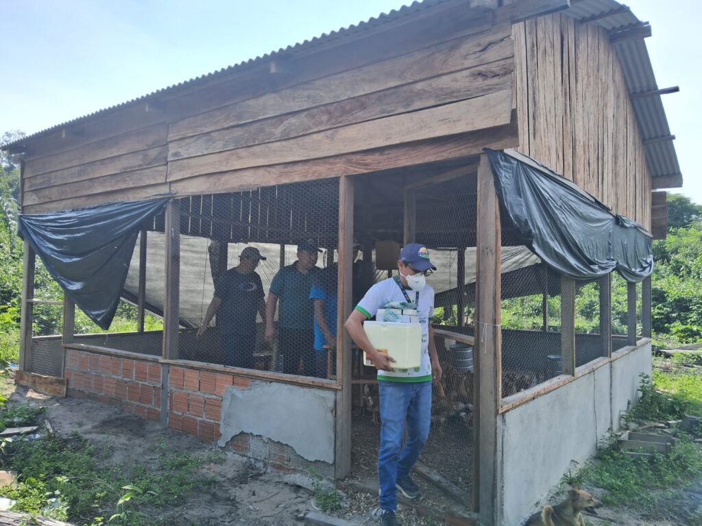 Em Novo Airão, Idam garante imunização de 900 aves de postura contra doenças respiratórias 2 Idam Acoes para a avicultura em Novo Airao Fotos Divulgacao 2 1024x768 1