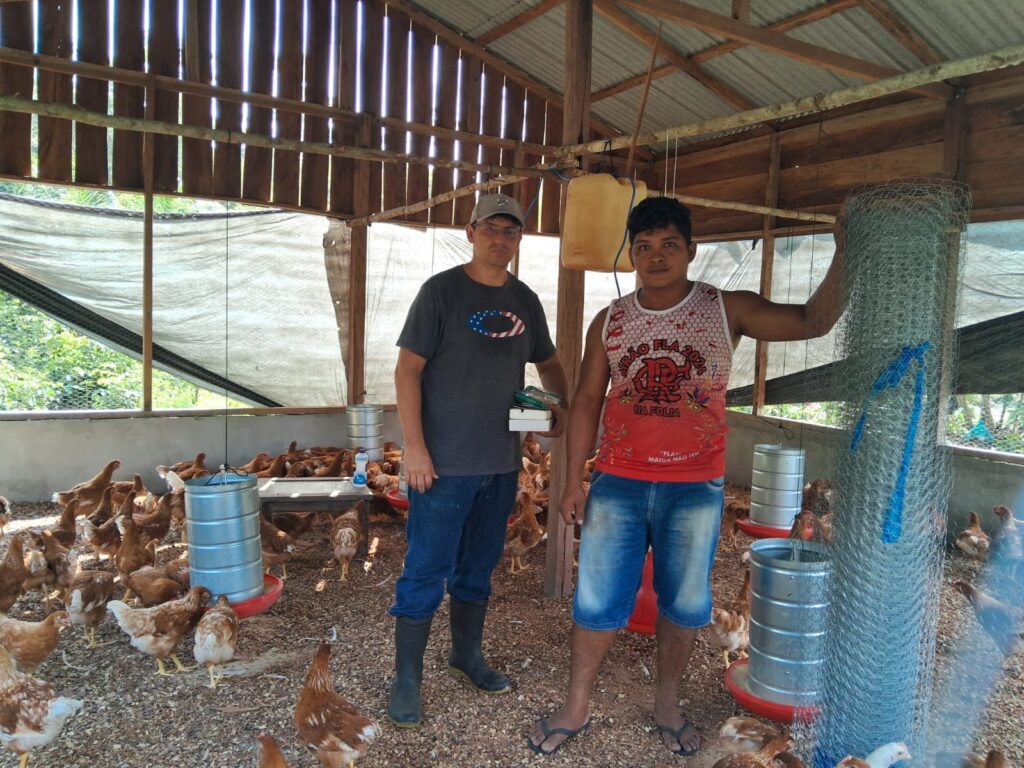 Em Novo Airão, Idam garante imunização de 900 aves de postura contra doenças respiratórias 3 Idam Acoes para a avicultura em Novo Airao Fotos Divulgacao 3 1024x768 1