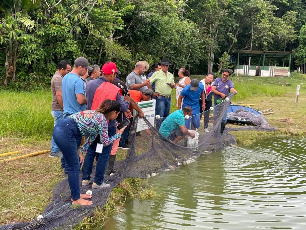Aquicultores de Tabatinga participam de capacitação promovida pelo Idam e Ifam 2 Idam Demonstracao de metodos para aquicultura em Tabatinga Fotos Divulgacao 2 1024x768 1
