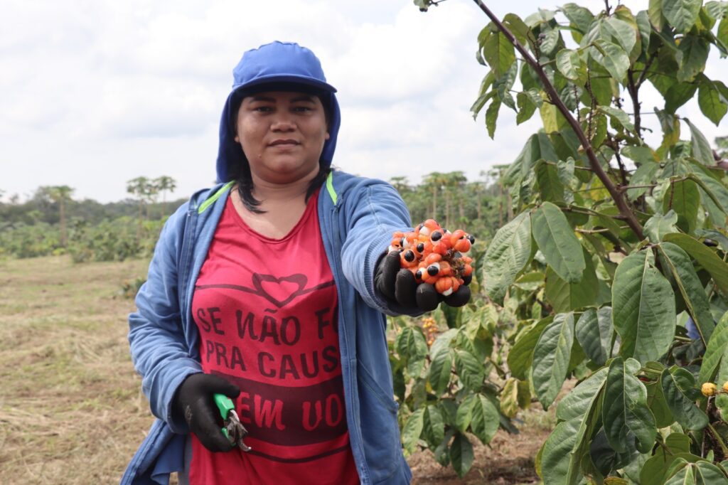Idam destaca protagonismo de mais de 18 mil mulheres no setor primário amazonense 3 Idam Dia Internacional da Mulher 2024 Fotos Arquivo 3 1024x682 1