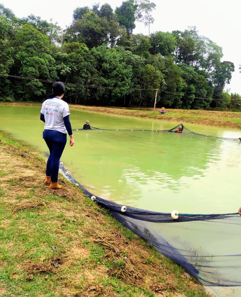 Dia Nacional da Aquicultura: Idam destaca importância da atividade para o Amazonas 3 Idam Dia Nacional da Aquicultura Divulgacao Idam 830x1024 1