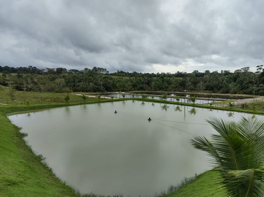Dia Nacional da Aquicultura: Idam destaca importância da atividade para o Amazonas 4 Idam Dia Nacional de Aquicultura Divulgacao Idam 1024x766 1