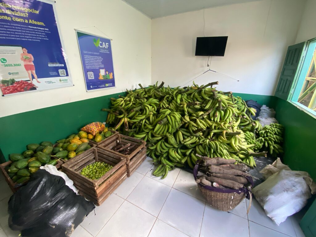 Amaturá: Idam atua no escoamento de 2,5 toneladas de alimentos comercializados via PAA 2 Idam PAA agricultores Indigenas em Amatura Fotos Divulgacao 1 1024x768 1