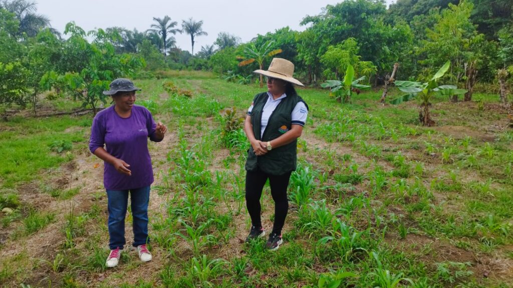 Extensionistas rurais do Idam participam de intercâmbio sobre agroecologia 3 Idam Tecnica no Campo Antonio Barros 1024x576 1