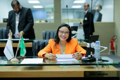 Projeto de Lei quer garantir opção de trabalho remoto para servidoras que amamentam