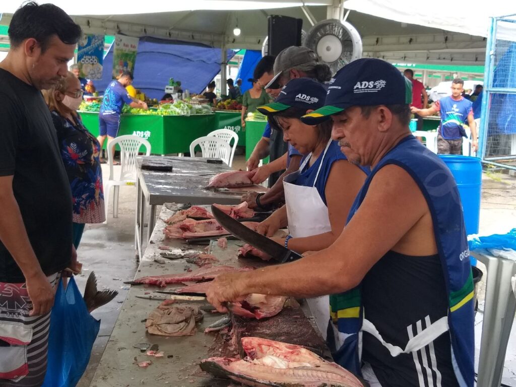 Semana Santa: FVS-RCP alerta sobre cuidados na compra e consumo de pescados 2 Semna santa 1