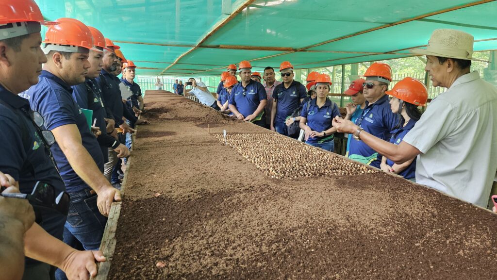 Idam realiza intercâmbio de conhecimento sobre boas práticas de manejo da castanha-do-Brasil 2 Visita tecnica na a fazenda Aruana Marfran Vieira Idam 1024x577 1