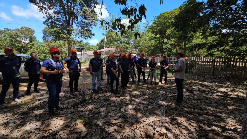 Idam realiza intercâmbio de conhecimento sobre boas práticas de manejo da castanha-do-Brasil 4 Visita tecnica na a fazenda Aruana Marfran Vieira Idam 4 1024x577 1