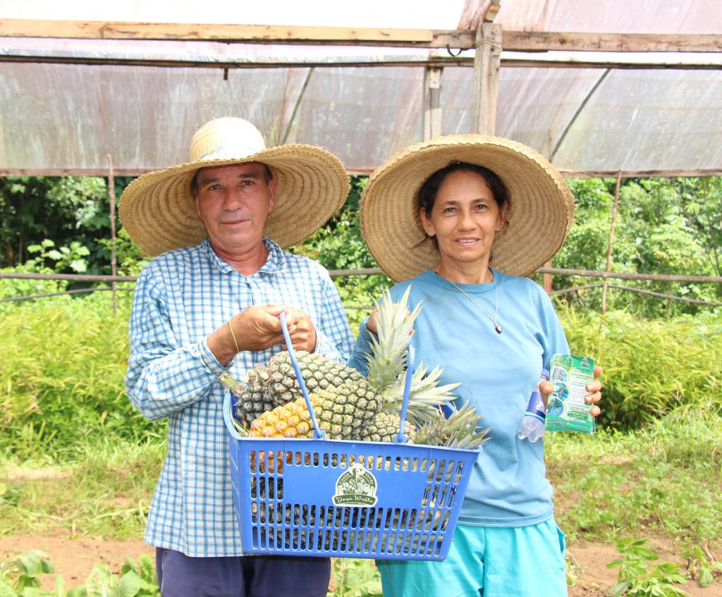 Programa de Aquisição de Alimentos arrecadou mais de 52 toneladas de alimentos orgânicos 4 Casal de agricultores Walda Ferreira e Jonilson Costa Iranduba 1024x847 1