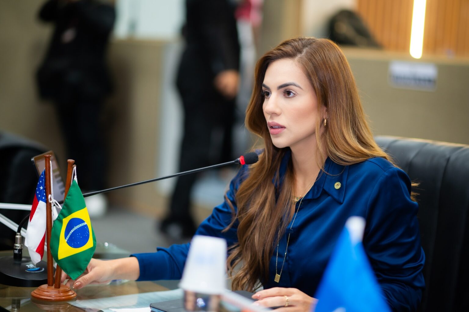 Debora Menezes tem cinco Projetos de Lei aprovados em um dia na Aleam Foto Daniel Nogueira