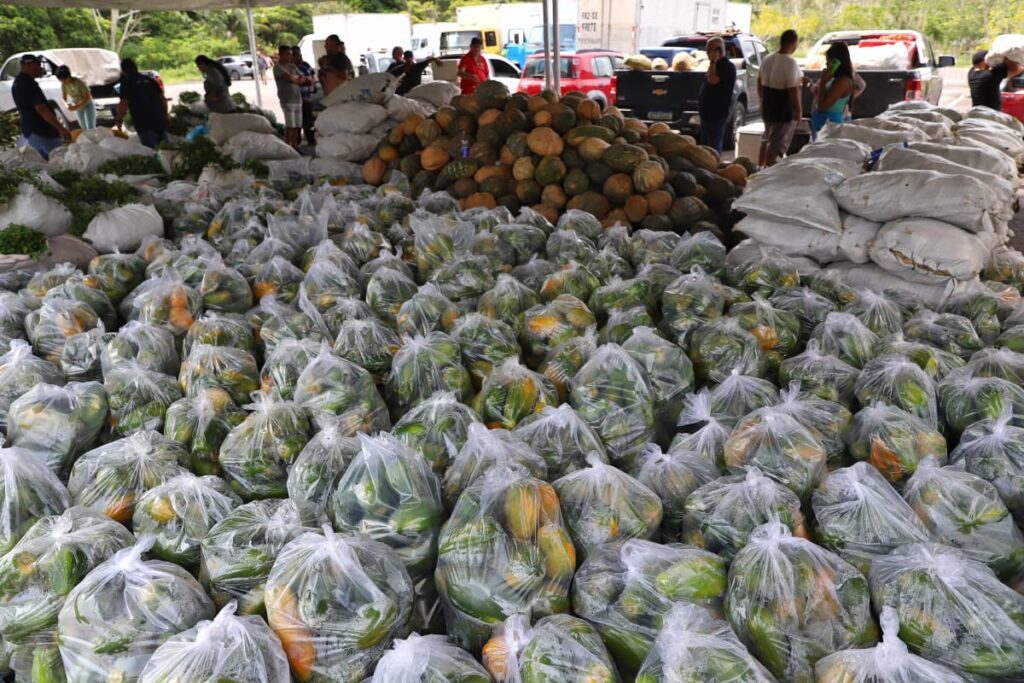 Governo do Amazonas comprou mais de 2 mil toneladas de produtos da agricultura familiar neste primeiro trimestre 4 Emerson Martins bacanco PAA PRIMEIRO TRIMESTRE 3 1024x683 1